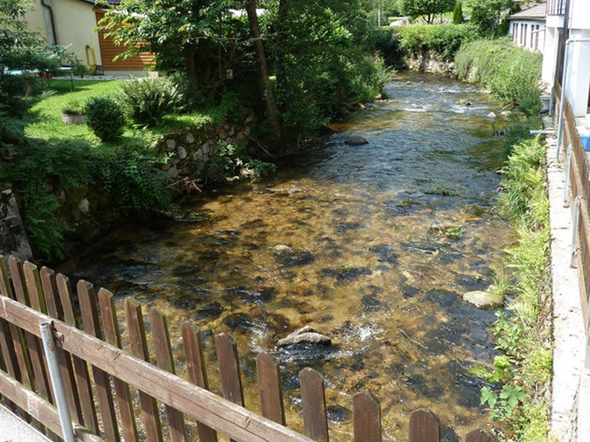 Landgasthof-Hotel-Roessle Oberprechtal المظهر الخارجي الصورة